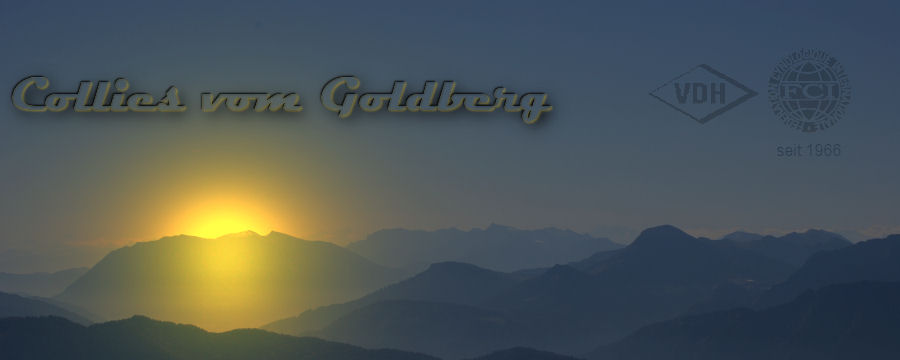 goldberg banner
